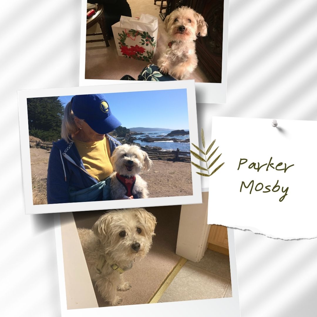 Parker Mosby
